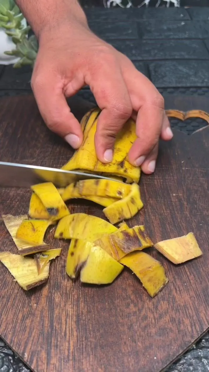 Mientras en México tiramos la cáscara del plátano después de comerlo, en India la aprovechan para preparar curris
