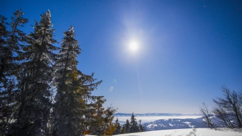 Se retrasó el invierno en Baja California este 2025