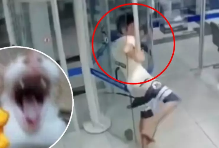 robo fallido de banco