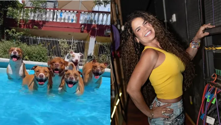 Antes de entrar a La Granja VIP, Niurka dejó todo bajo control: hasta sus “nueve perrhijos” quedaron atendidos