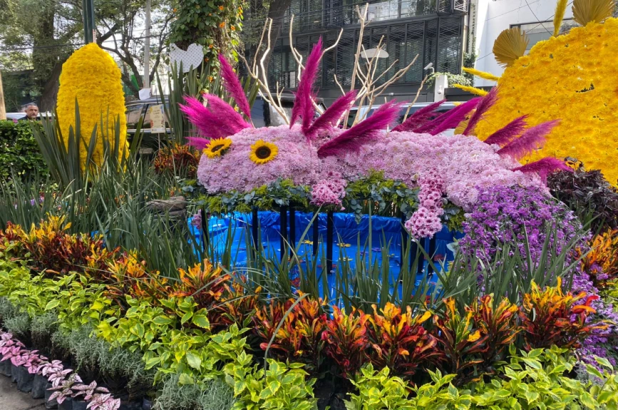 Festival Flores y Jardinería 2022 Polanco
