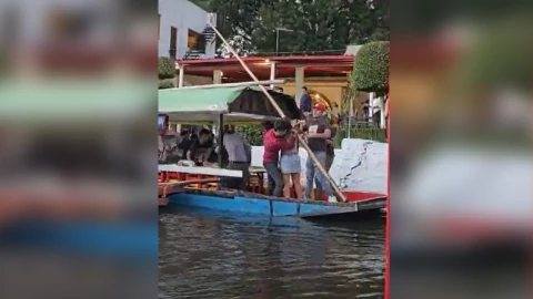 Xochimilco trajineras