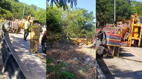 Volcadura en la carretera Campeche - Mérida deja pollos y gallinas regados sobre la vía