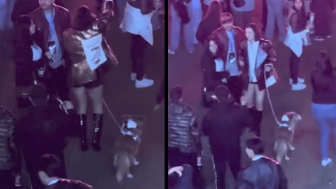 Video Influencer es funada por llevar a su perro al Flow Fest.png