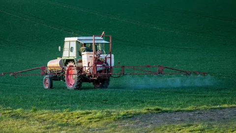 Las 5 plagas más comunes en la temporada de otoño