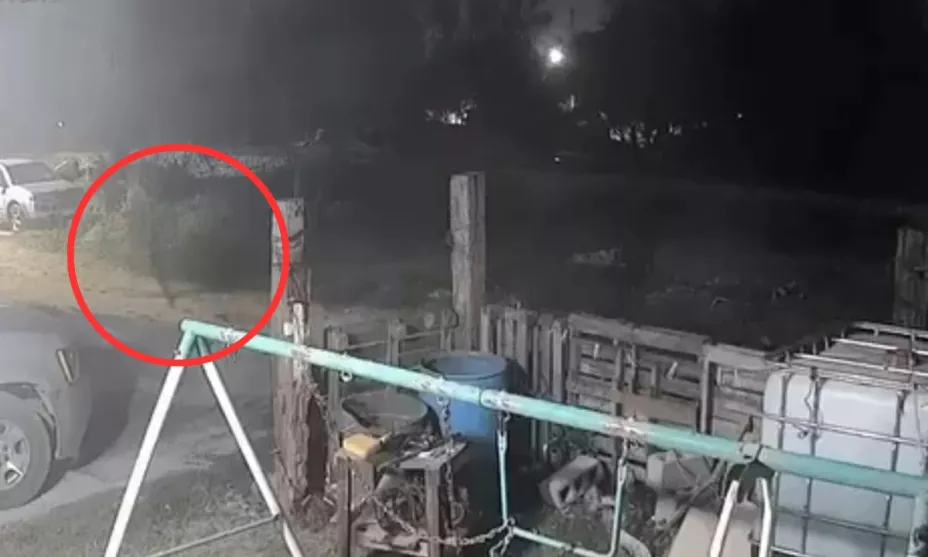 Nahual captado en Veracruz