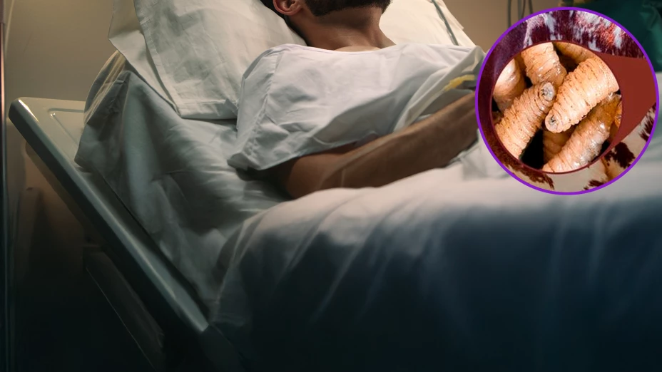 Primera muerte en México por gusano barrenador: 31 casos más confirmados