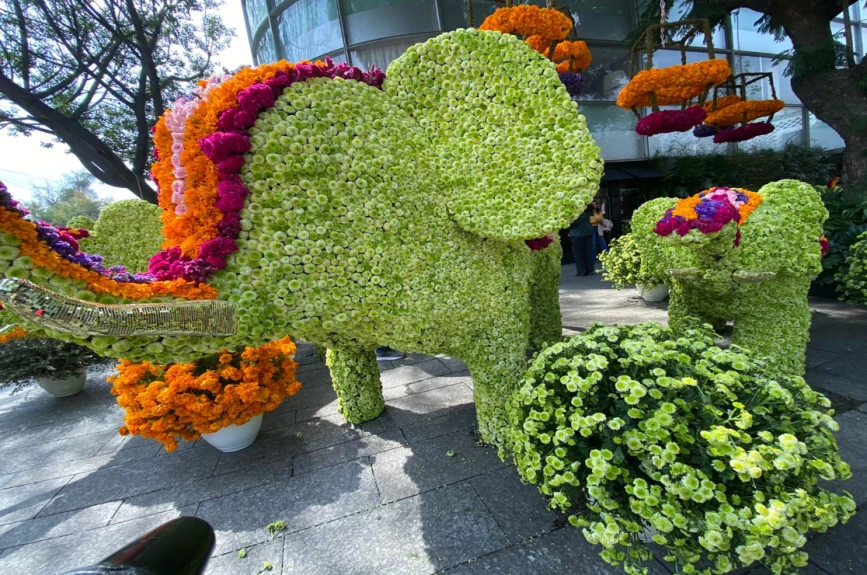 Festival Flores y Jardinería 2022 Polanco