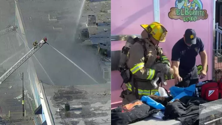 Fuerte incendio en centro comercial causó la muerte de más de 500 animales en Dallas, Texas.
