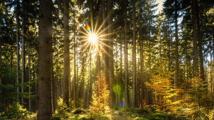 Equinoccio de Primavera 2025 ¿A qué hora entra en Aguascalientes hoy jueves 20 de marzo