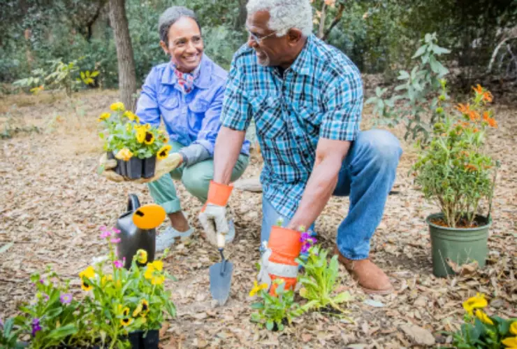 La enfermedad de Alzheimer provoca que las células cerebrales dejen de funcionar.