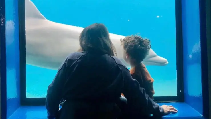 una madre con su niño observan a un delfín