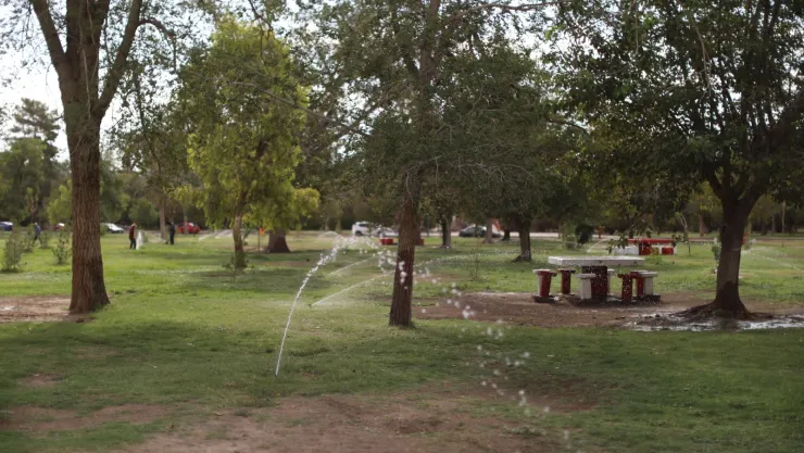 el chamizal