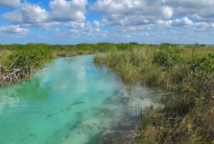 Reserva de la Biosfera Sian Kaan en QRoo, sitio de grandes humedales