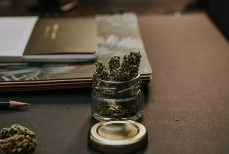 UNAM diplomado cannabis