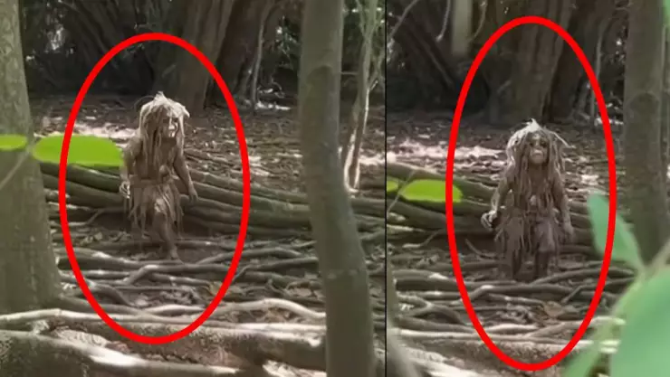 Extraña criatura en bosque