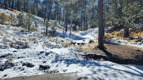 México blanca Navidad 2024