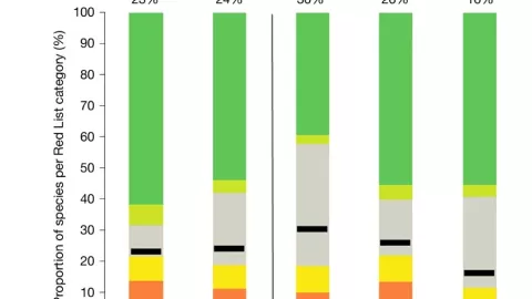 Los Crustáceos enfrentan mayores niveles de amenaza con 30%