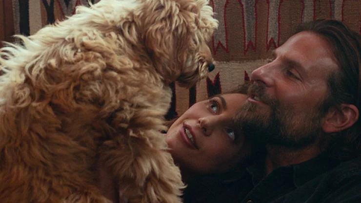 Premian a lo mejor del cine animalista en los Oscat