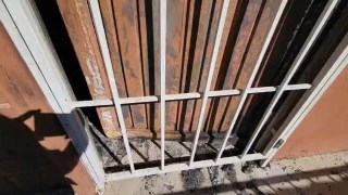 Vandalizan escuela en Bellavista, Culiacán