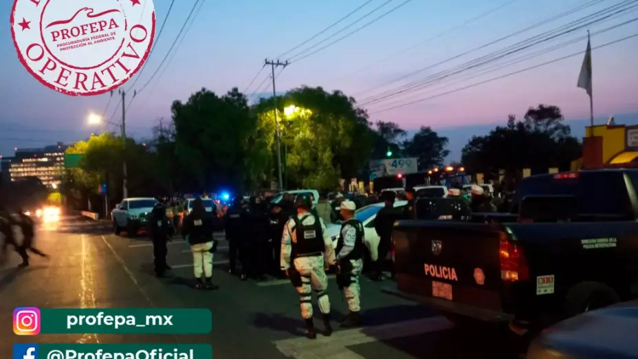 Operativo Tlalpan Profepa