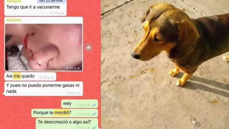 rodolfo corazon versiones novia.jpg