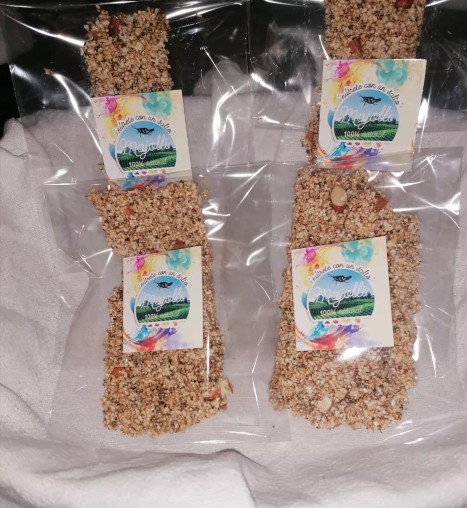 Barras energética IPN.jpeg