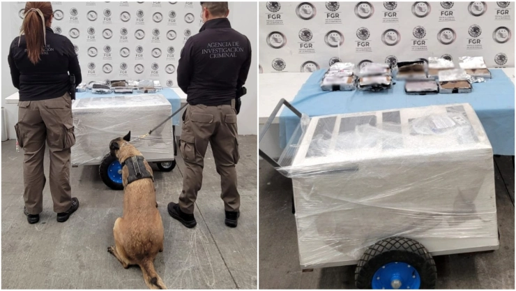 La droga fue hallada con ayuda de un perro de la FGR en Michoacán.