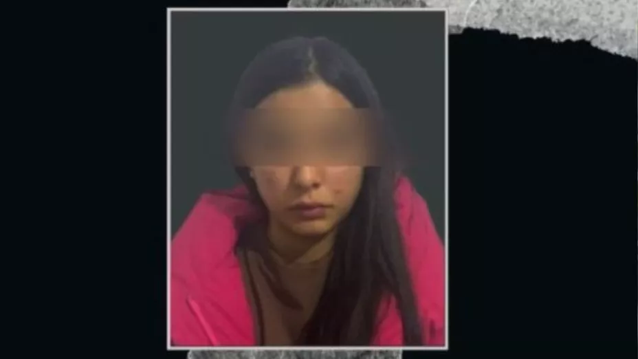 Vinculada a proceso.jpg