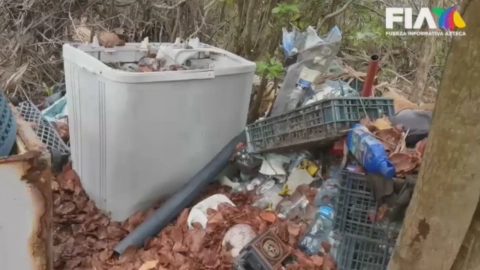 Basura-contaminación-plástica-caribe-mexicano