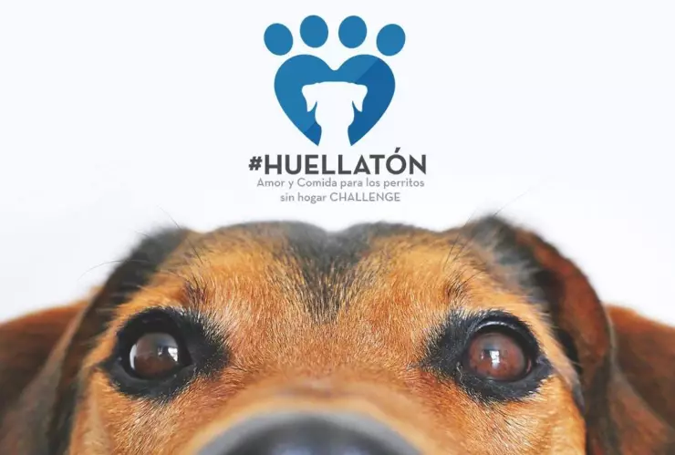 El Challenge altruista es lo de hoy, afirman jóvenes