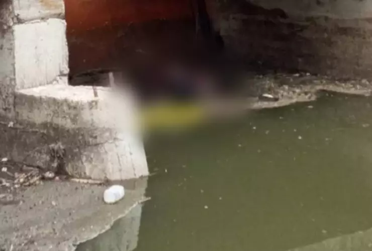 WhatsApp Image 2020-08-25 at 16.24.01.jpeg