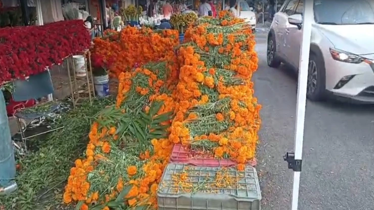 En Mezquitán florece la tradición con la venta de cempasúchil para Día de Muertos