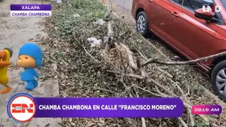 Las banquetas de la calle Francisco Moreno siguen sin limpieza pese a reportes ciudadanos