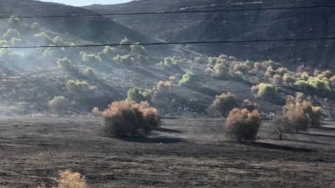 ¿Cuándo y cómo afectarán los Vientos de Santa Ana a Guanajuato 2025.png