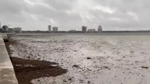 VIDEO Se aleja el mar en Florida ante la llegada del huracán Ian