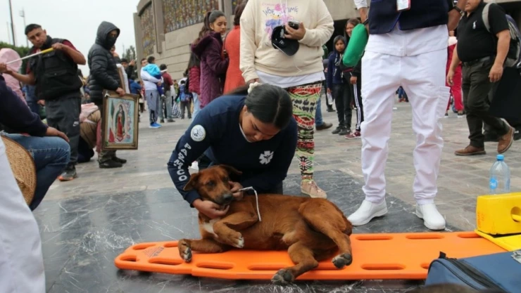 WhatsApp Image 2023-12-13 at 6.05.28 PM.jpeg