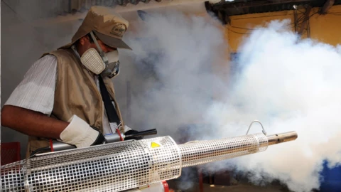 ¿Sospechas de chinches en tu casa? Esto cuesta mandar a fumigar