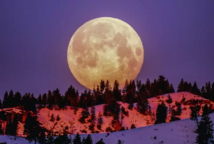 luna lobo 17 enero hora