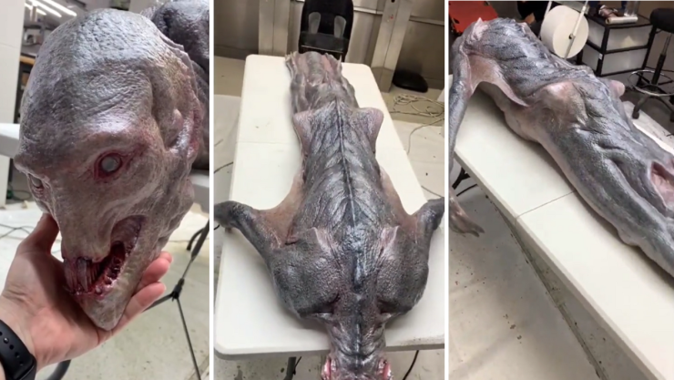 Monstruo ruso habría sido capturado por presuntos pescadores mexicanos