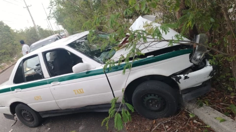 ¡Lamentable! Taxista de Cancún muere tras estrellarse contra un árbol