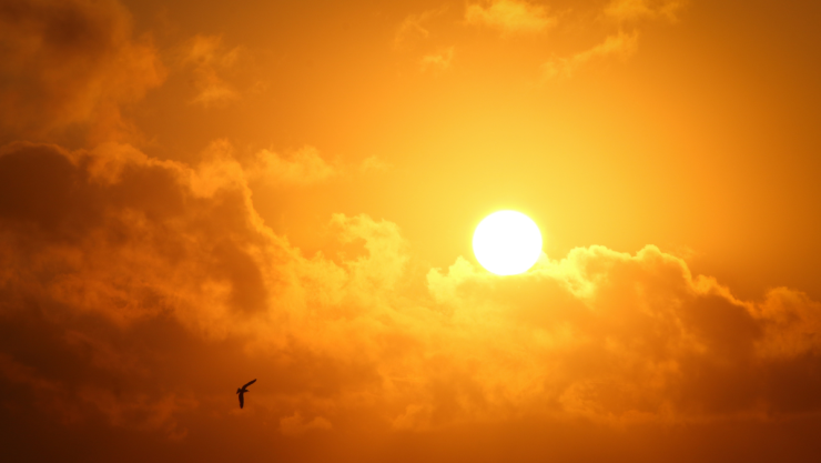 clima mexicali fin de semana