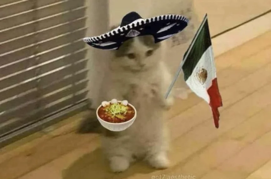 2. Memes Mexico Brasil .jpg