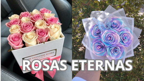 Rosas eternas