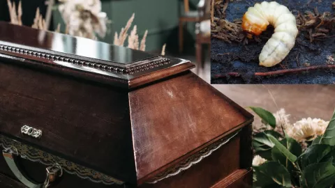 Le sale gusano a mujer que era velada en funeral, familia demanda