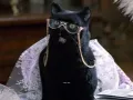 salem-saberhagen-sabrina-la-bruja-adolescente