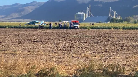 Desplome de avioneta en Mocorito