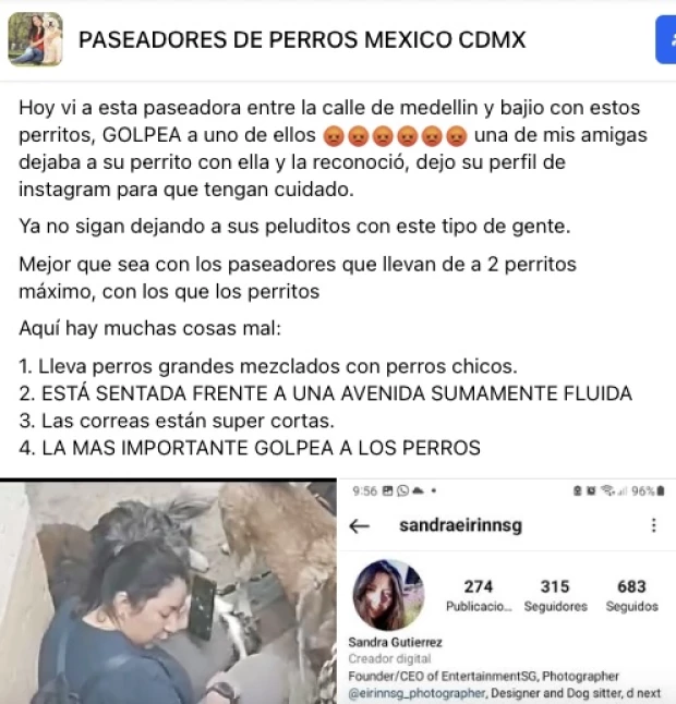 Paseadora de perros