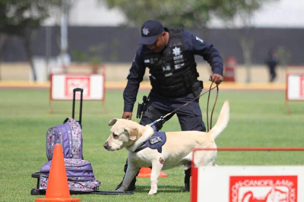 Unidad Canina de la Policía Federal cumple 30 años de servicio