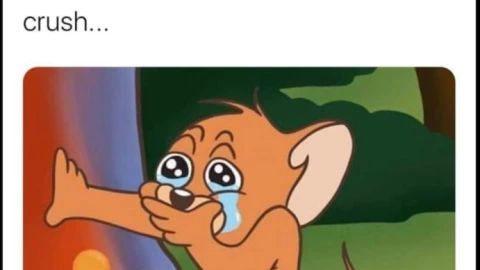 imagen y meme por el día del comunicólogo